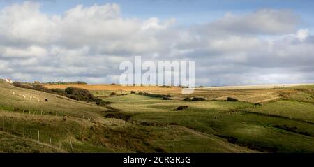 Land, Wiesen und Felder an der Opalküste Stockfoto