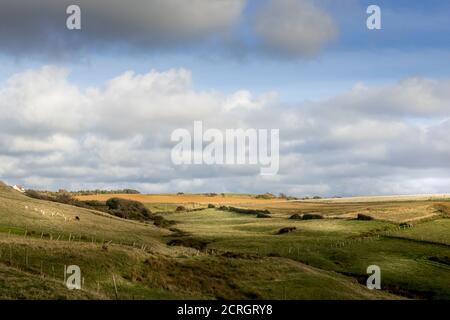 Land, Wiesen und Felder an der Opalküste Stockfoto