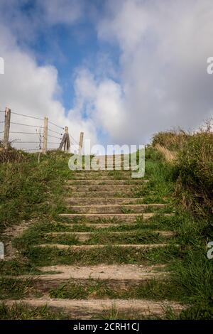 Pant und Treppe auf dem Land, Priarien und Felder an der Opalküste Stockfoto