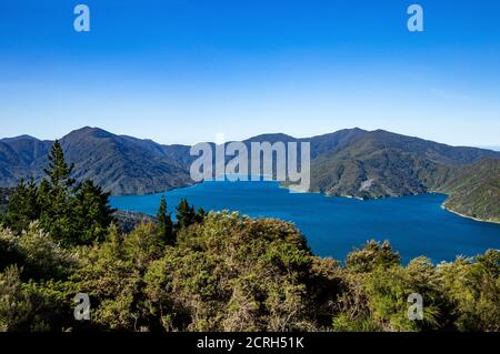 Endeavour Inlet, Tawa Bay, Malborough Sounds, Südinsel, Neuseeland, Ozeanien. Blick vom Eatwells Lookout auf Queen Charlotte Track. Stockfoto