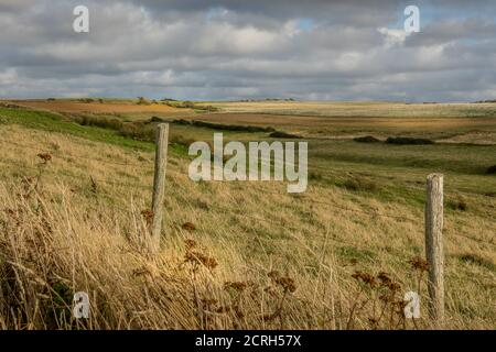 Land, Wiesen und Felder an der Opalküste Stockfoto