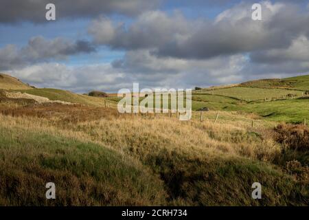 Land, Wiesen und Felder an der Opalküste Stockfoto