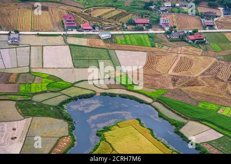 Reisfeld in der Erntezeit im Bac Son Tal, lang Son, Vietnam Stockfoto