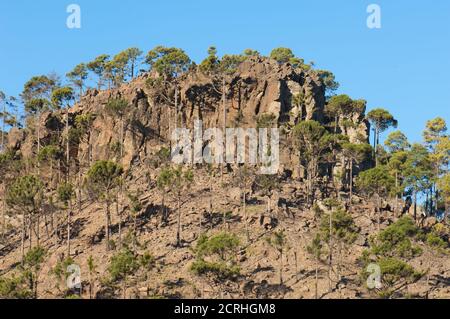 Ojeda Berg im Integralen Naturreservat von Inagua. Gran Canaria. Kanarische Inseln. Spanien. Stockfoto