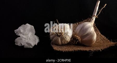 Frische weiße zwei Knoblauch-Set isoliert auf schwarzem Hintergrund Landwirtschaft Oberfläche Branding Präsentation. Stockfoto