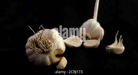 Frischer weißer Knoblauch Oberfläche auf schwarzem Hintergrund isoliert Landwirtschaft Oberfläche Branding Präsentation. Stockfoto