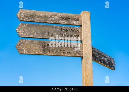 Holzschild mit Wegweiser gegen blauen Himmel im Epping Forest in Essex, England Stockfoto