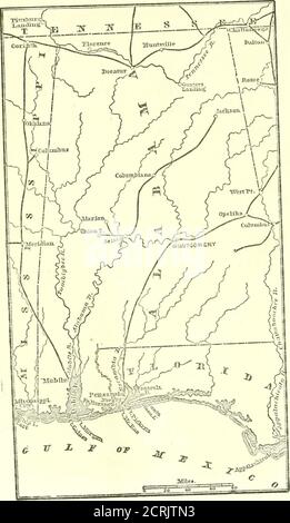 . Der Süden : eine Tour durch seine Schlachtfelder und zerstörten Städte, eine Reise durch die verwüsteten Staaten, und Gespräche mit den Menschen: Eine Beschreibung des gegenwärtigen Zustandes des Landes - seine Landwirtschaft - Eisenbahnen - Geschäft und Finanzen.. . eigenartiges Aussehen. Grüne Büschel der Mistel wuchsen auf den blattlosen Baumkronen. Wolken von Schwarzbirden bedeckten manchmal das Ufer und warfen einen Schatten, während sie flogen.am zweiten Tag verschwanden die niedrigen Ufer, ersetzt durch angenehm bewaldete BluflPs und erhöhte Plantagen. Fast alle Pflanzer, die ich traf, waren unten zu Mobile topurchase ihre Vorräte für das Meer gewesen Stockfoto