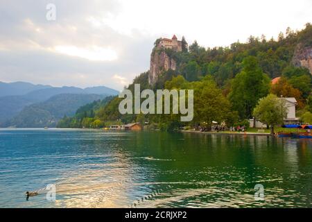 Schöne Szene im Bleder See in Slowenien Stockfoto