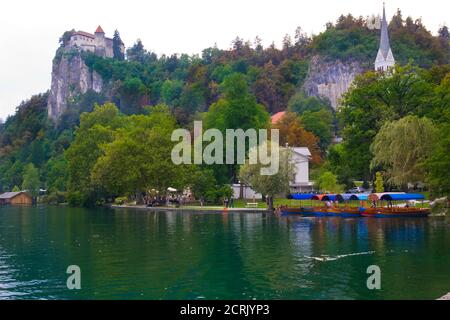 Schöne Szene im Bleder See in Slowenien Stockfoto