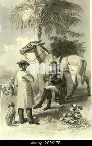 . Der Süden : eine Tour durch seine Schlachtfelder und zerstörten Städte, eine Reise durch die verwüsteten Staaten, und Gespräche mit den Menschen: Eine Beschreibung des gegenwärtigen Zustandes des Landes - seine Landwirtschaft - Eisenbahnen - Geschäft und Finanzen.. . NRMIE LIDJITIBI^ BV^T.-^E^ 3L]E 3F I JS-^IT^B^^. A-souttourofitsba00trow Stockfoto