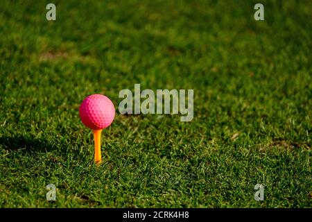 Nahaufnahme des rosa Golfballs auf gelbem Tee auf Gras Golfplatz Stockfoto