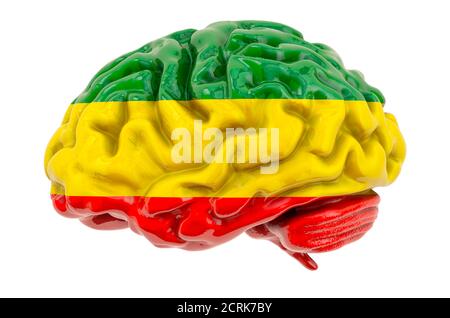 Menschliches Gehirn mit Rasta Flag Farben. 3D-Rendering auf weißem Hintergrund isoliert Stockfoto