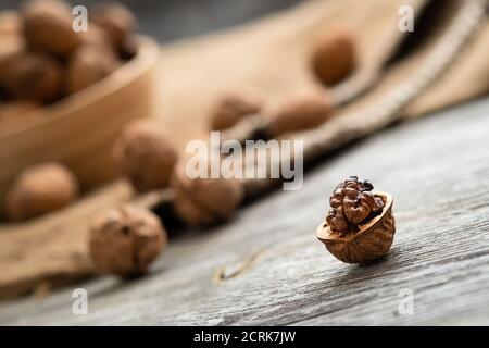 Frische Walnusskerne und ganze Walnüsse in einer Schüssel auf rustikalem alten Holztisch. Gesunde Bio-Lebensmittel, Bio-Weingärten, natürlichen Hintergrund. Speicherplatz für Ihren kopieren Stockfoto