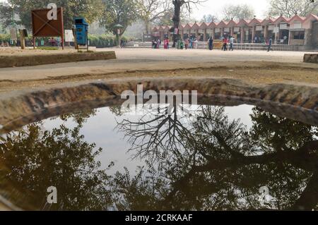 Ein Spiegelbild des großen Baumes, der außerhalb des Zoos und der alten Festung mit Himmel befindet. Stockfoto