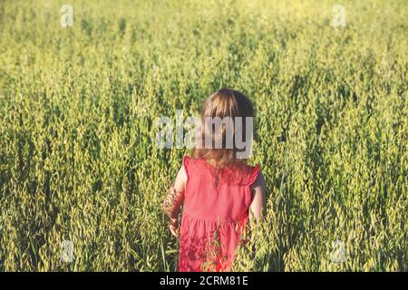 Glückliches kleines Mädchen in roten Kleid zu Fuß im Grünen Haferfeld im Sommer zurück zur Kamera Stockfoto