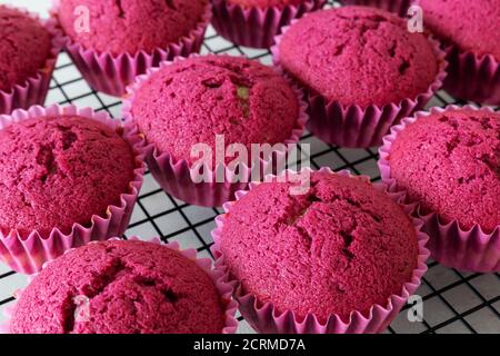 Köstliche Spaß fuchsia bunte Cupcakes Stockfoto