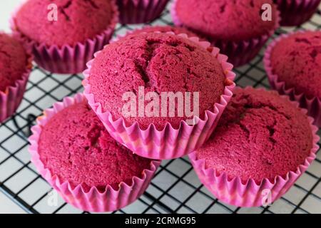 Köstliche Spaß fuchsia bunte Cupcakes Stockfoto