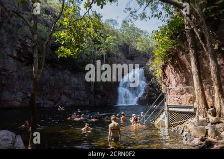 Florence Falls, Australien - 15. März 2020: Touristen baden im Tauchbecken am Fuße der Florence Falls, dem nördlichen Gebiet, Australien. Stockfoto