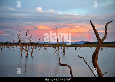 Sonnenuntergang über dem Kariba-See in Simbabwe Stockfoto