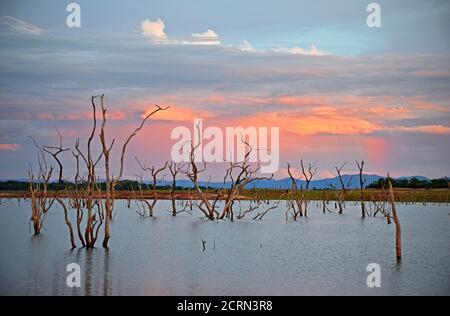 Sonnenuntergang über dem Kariba-See in Simbabwe Stockfoto