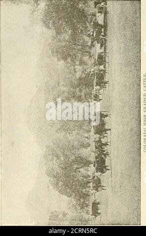 . Die Meinungen des Richters und des Oberst hinsichtlich der beträchtlichen Betriebsmittel von Colorado .. . KAPITEL I. DER RICHTER UND DER MAJOR. Stockfoto