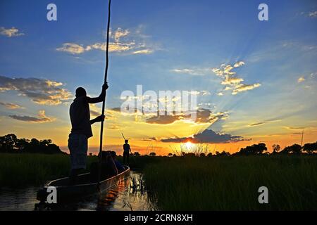 Schöner Sonnenuntergang im Okavango Delta Stockfoto