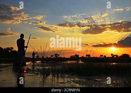 Schöner Sonnenuntergang im Okavango Delta Stockfoto