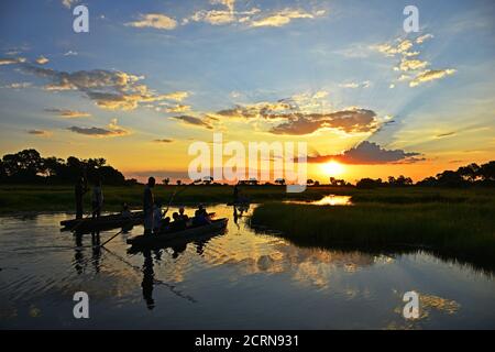 Schöner Sonnenuntergang im Okavango Delta Stockfoto