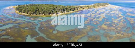 Salzwiesen und Flussmündungen sind in Cape Cod, Massachusetts, zu finden. Sie bieten ruhigen Nistplatz, Fütterung und Brutraum für viele Arten. Stockfoto