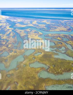 Salzwiesen und Flussmündungen sind in Cape Cod, Massachusetts, zu finden. Sie bieten ruhigen Nistplatz, Fütterung und Brutraum für viele Arten. Stockfoto