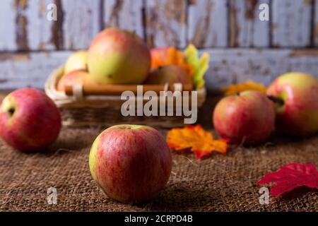 Reife Äpfel auf Sackleinen und in einem Korb. Rustikaler Stil, Nahaufnahme. Stockfoto