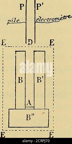 . Oeuvres de Pierre Curie : publiées par les soins de la Société française de physique . es rayons cathodiques diffèrent des rayons de Rontgen en () Giesel, Wied. Ann., t. LXIX, S. 91. (2) Curie. Société de Physique, 2. märz 1900. STOFFE RADIOACTIVES. 390 ce quils sont déviés de leur trajet rectiligne par laction du champmagnétique et en ce quils sont chargés délectricité négative. Les travaux de M. Giesel, Meyeretv. Schweidler et Becquerelont montré que les rayons des nouvelles substances radioactivessont déviés par le Champ magnétique de la même façon que lesrayons cathodiques. Auf der Unruhe Stockfoto