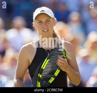 Caroline Wozniacki auf dem Weg zum Sieg über Camila Giorgi. Nature Valley International - Eastbourne. Bildnachweis: © Mark Pain / Alamy Stockfoto