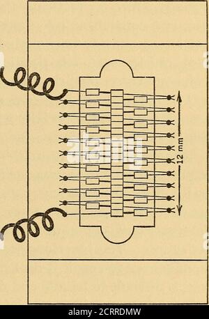 . Instrumente und Methoden in der Radiometrie verwendet - II . mm Durchmesser und etwa 0.2 mm dick. Die Disksoverlappte so, dass die 20 Junc-tionen einen Raum von 20 mmlang belegten. Die tatsächliche Fläche war daher größer als im Bi-AG-Stapel, der eine Empfangsfläche von etwa 16 mm2 hatte. Dieser Vergleich zeigt, dass die radiationsempfindlichkeit des Bismut-Silbers etwa 2.6-mal höher ist als die des gewöhnlichen Rubens Thermopiles.Wenn wir bedenken, dass wir in der Spektro-Radiometrie an der Länge der Spektrallinie interessiert sind, die genutzt werden kann, dann sollten wir die Radiatio-AdmethelengthesBi-Agpile2omm,durch Addenmorecouples.the radiatio Stockfoto