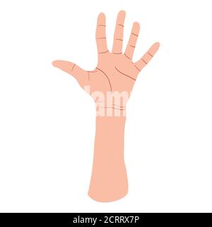 Hand zeigt fünf Finger, hohes fünf Zeichen. Konzept der Kommunikationsgesten. Vektor-flaches Design im Cartoon-Stil. Isoliert auf weißem Hintergrund. Stock Vektor