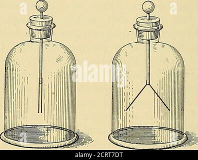 . Radioaktivität : eine elementare Abhandlung vom Standpunkt der Desintegrationstheorie. Uran-Verbindung wird in die 12 RADIOAKTIVITÄT gelegt. Gefäß die Blätter kollabieren innerhalb weniger Minuten. Durch die Verkleinerung des Einwirkens kann die Wirkung ausreichend schnell sein, um mit dem Auge verfolgt zu werden. Die Sensibilität des Instruments und die Rate des Zusammenbruchs untergegebener Bedingungen hängt von seiner Kapazität ab, und dies wird hauptsächlich durch die Fläche der Blätter und ihre Unterstützung reguliert, die die Ladung erhalten. Es kann darauf hingewiesen werden, dass das Elektroskop würde die Ladung auf unbestimmte Zeit im Vakuum, sogar in t Stockfoto