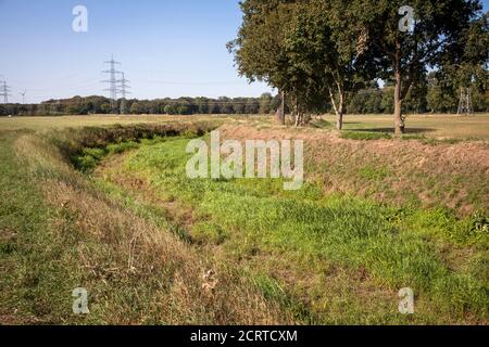 Die trocken gefallene Issel bei Wesel am 19. September. 2020, Nordrhein-Westfalen, Deutschland. Der trocken gefallte Fluss Issel bei Wesel am 19.09. Stockfoto