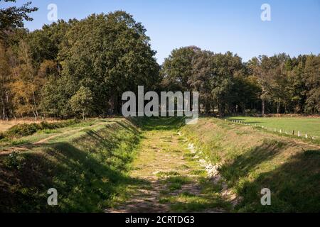 Die trocken gefallene Issel bei Wesel am 19. September. 2020, Nordrhein-Westfalen, Deutschland. Der trocken gefallte Fluss Issel bei Wesel am 19.09. Stockfoto