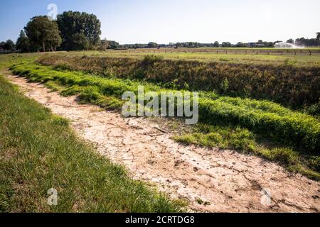 Die trocken gefallene Issel bei Wesel am 19. September. 2020, Nordrhein-Westfalen, Deutschland. Der trocken gefallte Fluss Issel bei Wesel am 19.09. Stockfoto