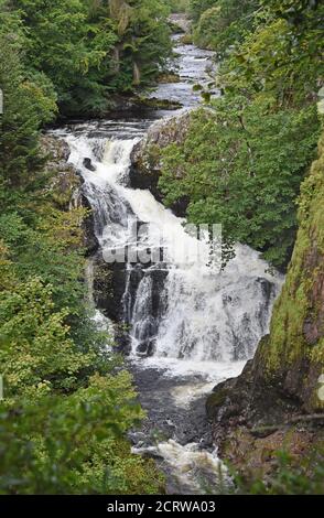 Reekie Linn, Glen Isla, Angus, Schottland - Aus Sicht Stockfoto