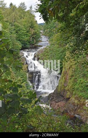 Reekie Linn, Glen Isla, Angus, Schottland - Aus Sicht Stockfoto