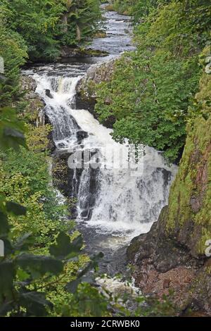 Reekie Linn, Glen Isla, Angus, Schottland - Aus Sicht Stockfoto