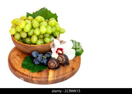 Eine Schnecke und ein Traubenbündel mit Hibiskusfarbe auf einem Holzbrett. Weißer Hintergrund. Stockfoto