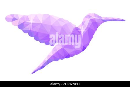 Low Poly Illustration mit schönen violetten Kolibri Silhouette auf weiß Hintergrund Stock Vektor