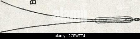 . Die Bell System technische Zeitschrift . U zi^. f^ 196 GLOCKE SYSTEM TECHNICAL JOURNAL 10^ Ampere pro Millimeter pro Meter wird ohne weiteres eine Temperaturänderung von 0.0005 Grad Celsius anzeigen. Zum Vergleich zeigt ein Präzisions-Platinumwiderstandsthermometer und die erforderliche Spezialbrücke wie der Mueller eine minimale Veränderung von 0.003 Grad Celsius mit einem ähnlichen Vanometer an. Mehrere Thermistoren, die für die Thermometrie verwendet wurden, sind in Abb. 17. In der Gruppe enthalten sind Typen, die für solche Diverseapplikationen wie intravenöse Blutthermometrie und Kompressor Rotortemp geeignet sind Stockfoto