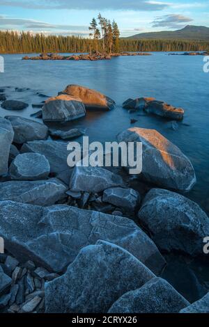 USA, Pacific Northwest, Oregon, Lane County, Willamette National Forest, Waldo Lake Stockfoto