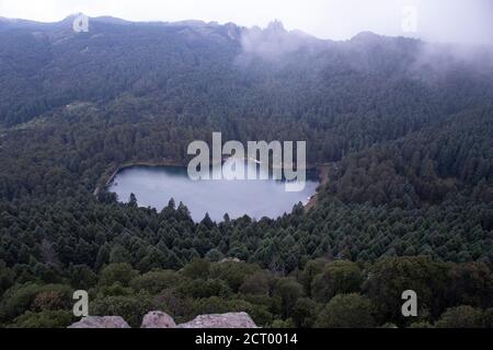 Kleiner See im Tal, umgeben von grünen Kiefernwald während nebligen Tag Stockfoto