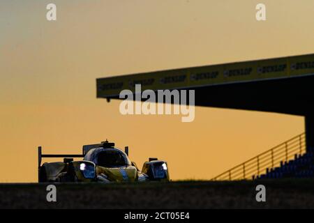 29 Van Eerd Frits (ndl), Van der Garde Giedo (nld), De Vries Nyck (nld), Racing Team Nederland, Oreca 07-Gibson, Aktion während der 2020 24 Stunden von Le Stockfoto