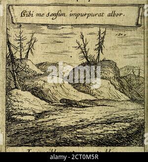 . Emblemes sacrez svr le tres-saint et tresadorable sacrement de l'evcharistie . U quel-quesfois fortir des flammes de la bouche de quelquesSaints, après la Communion , puis quils auoientdans leur poitrine la fournaife du faint amour, fanslequel nos amës ne fçauroierit viure, Mais fe peuueruentérifement, TeureGmalf ich werde Sie auf Ihre Website peuaprès naifïànce, &: quelles etïtirent leur aliment, à mefme temps quelles sen reti-rent , elles deuiennent languiflantes SE meurent   faute de nourriture. S. Epiphane remarquequon Stockfoto